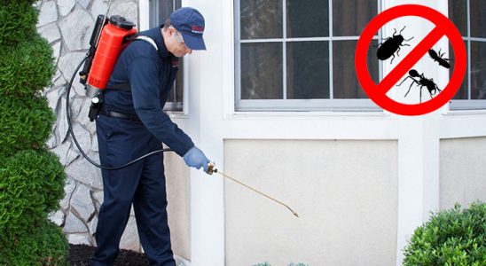 Doğankent Gümüşkurt İlaçlama böcek ilaçlama ve haşere kontrolü — ilaclama-tr.com